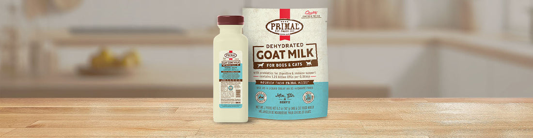 Benefits of Goat Milk for Dogs and Cats