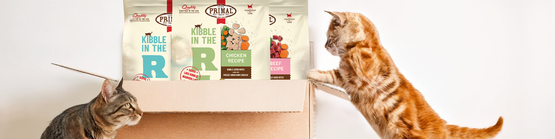 Introducing Kibble in the Raw for Cats!