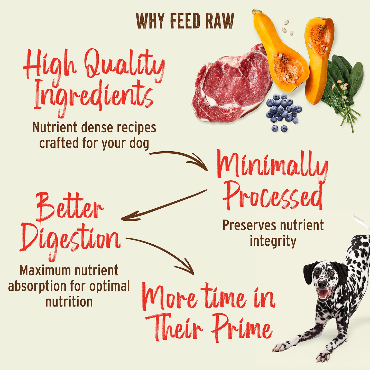 Freeze-Dried Raw Nuggets Dog Food - Beef Recipe