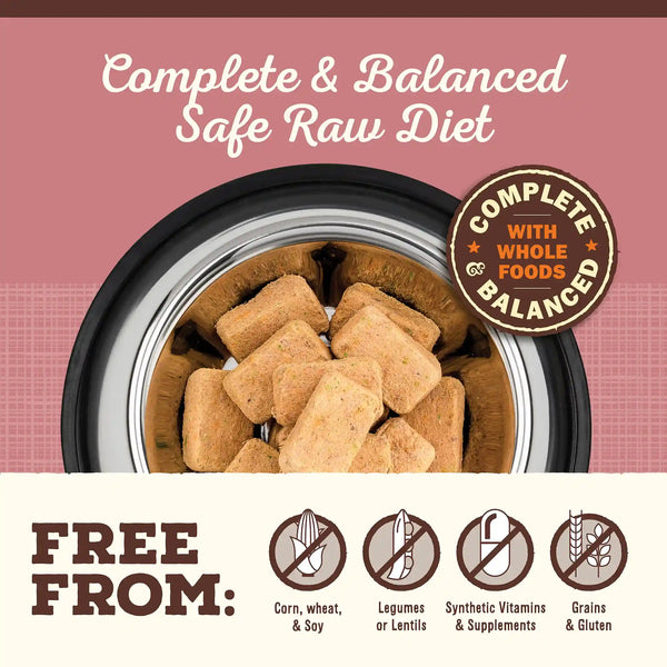 Is freeze dried raw 2025 food safe for dogs