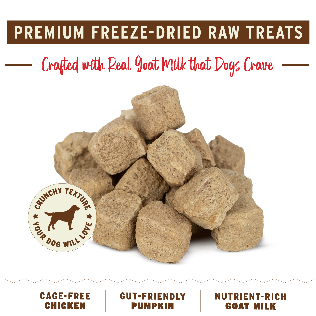 Freeze-Dried Raw Dog Treats - Pumpkin for My Pumpkin
