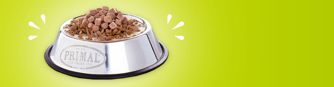 <b>A Little of This, A Little of That:<br>Tips To Boost Your Pet’s Kibble</br></b>