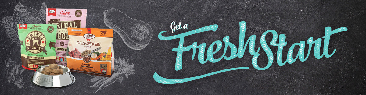 Fresh Start 2023: Balanced Bases | Primal Pet Foods