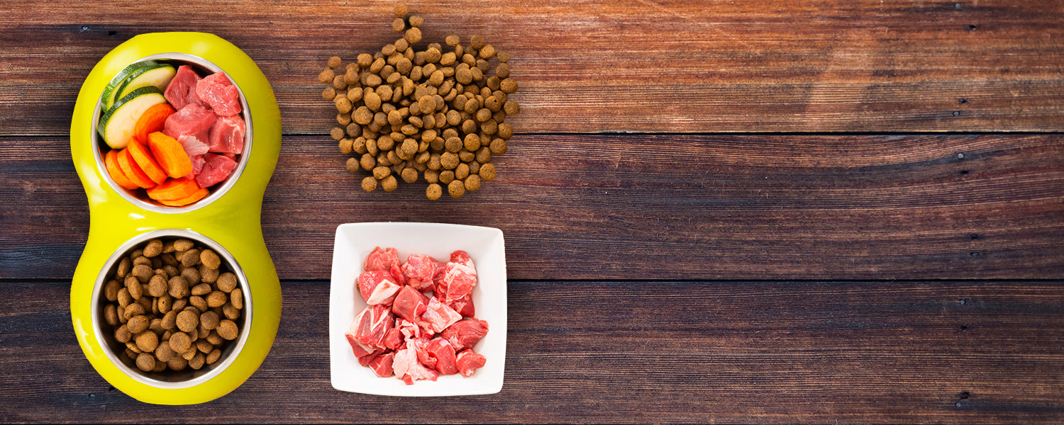 FDA Update to DCM Investigation What We Know Primal Pet Foods