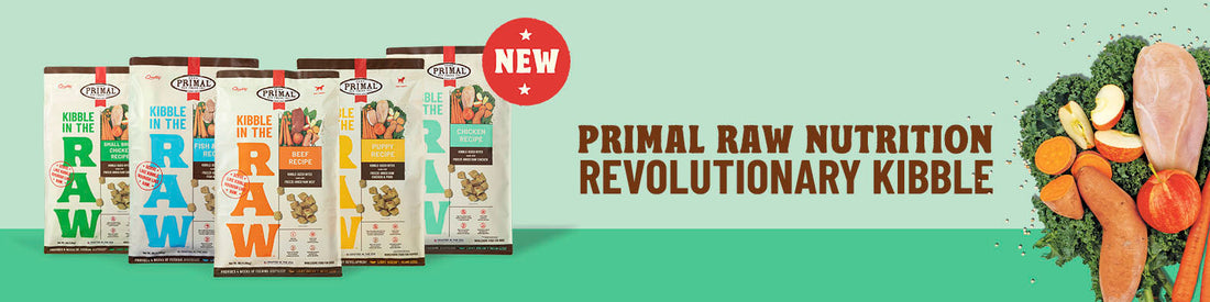<b>Introducing Kibble in the Raw! </b></br>The Future of Kibble is Here