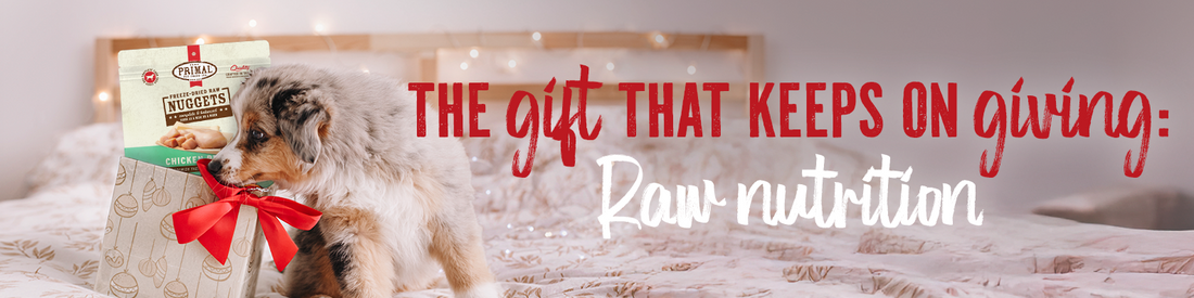 <b>The Gift that Keeps on Giving: Raw Nutrition</b>