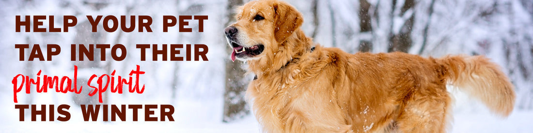 <br> Help Your Pet Tap Into Their Primal Spirit This Winter </br>