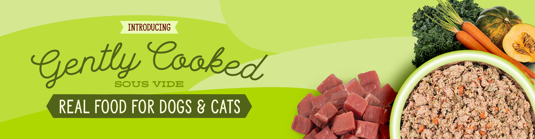 <b>NEW Gently Cooked Recipes for Dogs & Cats</b>