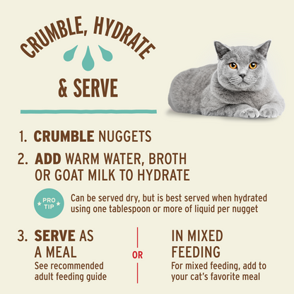 Raw Fed Raw Feeding Guide For Cats Feed What Will Cats Eat