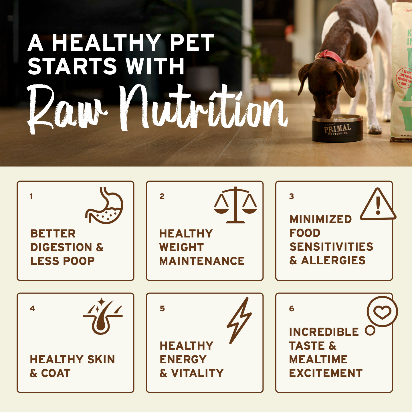 Freeze-Dried Raw Scoopable Pronto Dog Food - Puppy Recipe