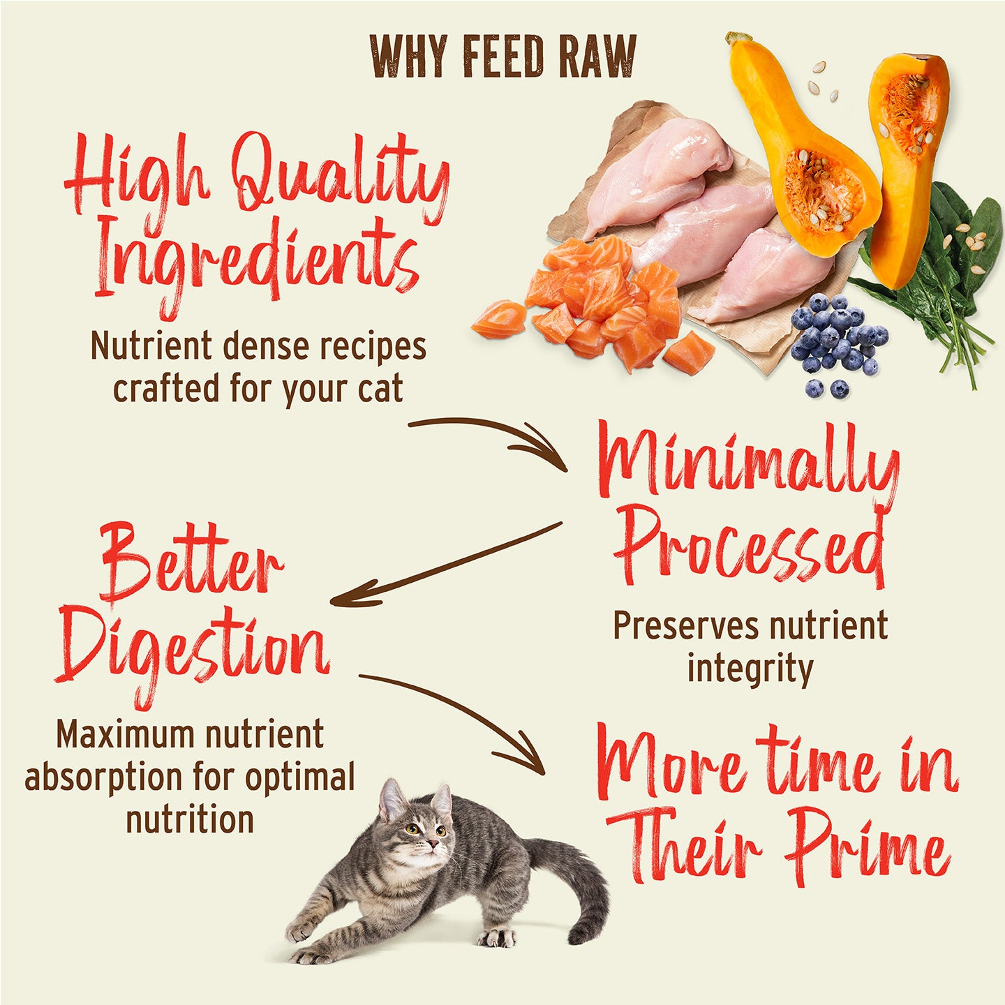 Freeze-Dried Raw Nuggets Cat Food - Pork Recipe