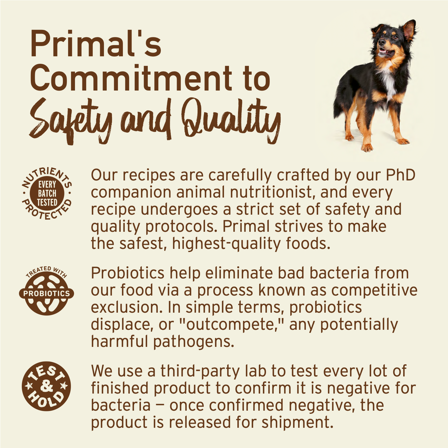 Freeze-Dried Raw Scoopable Pronto Dog Food - Puppy Recipe