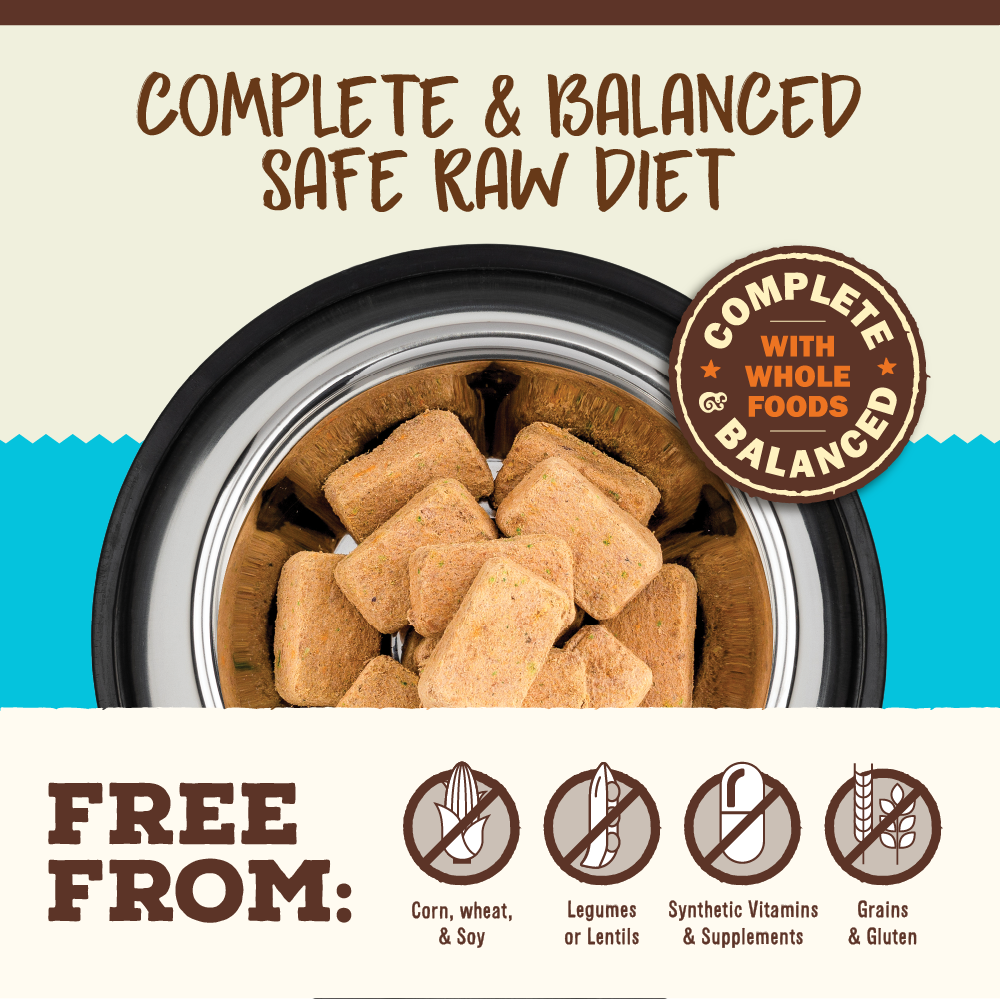 Freeze-Dried Raw Nuggets Cat Food <br> Chicken & Salmon Recipe