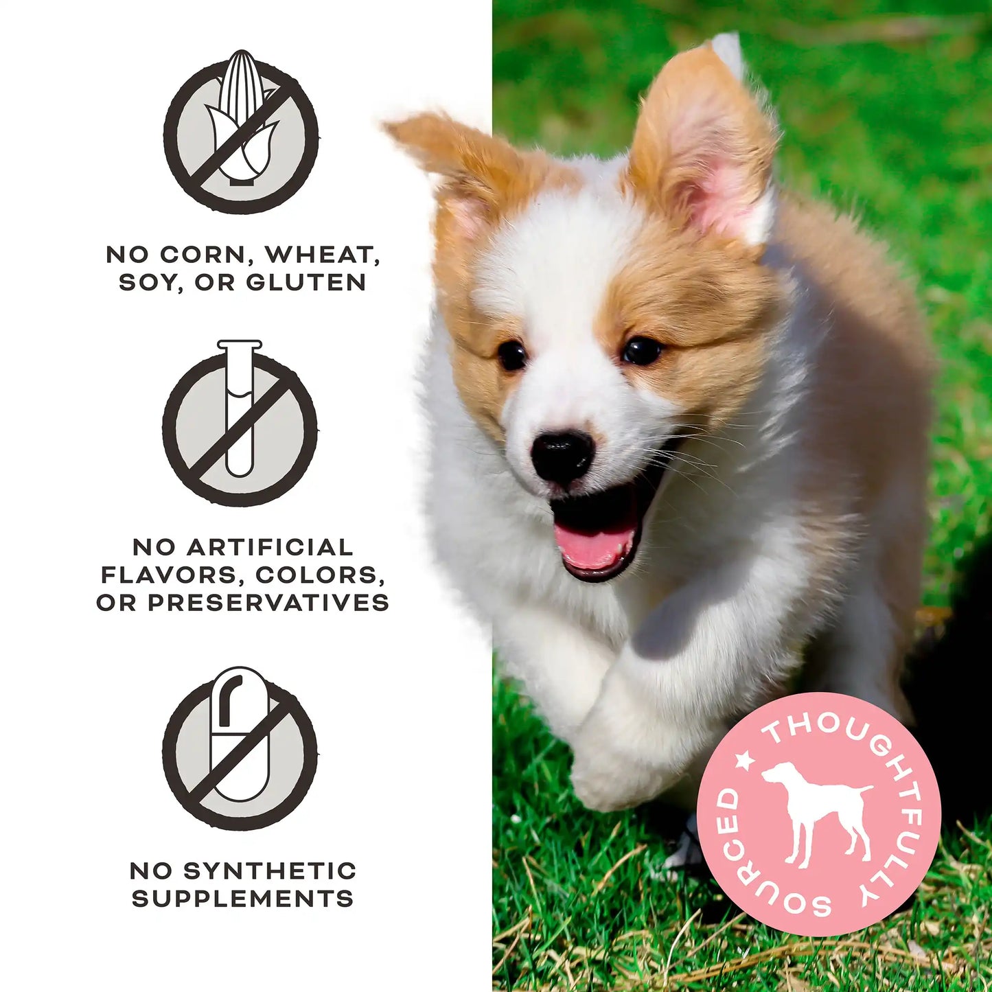 FriendChips Matter Jerky Treats for Dogs <br> Chicken Recipe