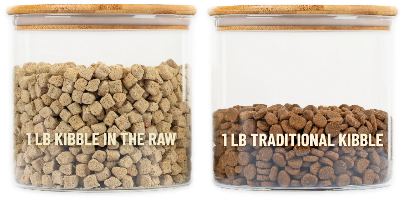 Jars depicting 1 pound of kibble in the raw and 1 pound of traditional kibble where the kibble in the raw fills up more of the jar