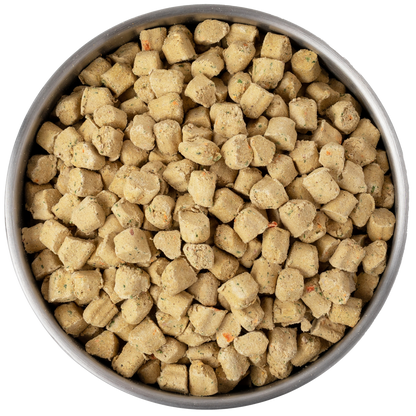 Kibble in the Raw Dog Food - Chicken Recipe