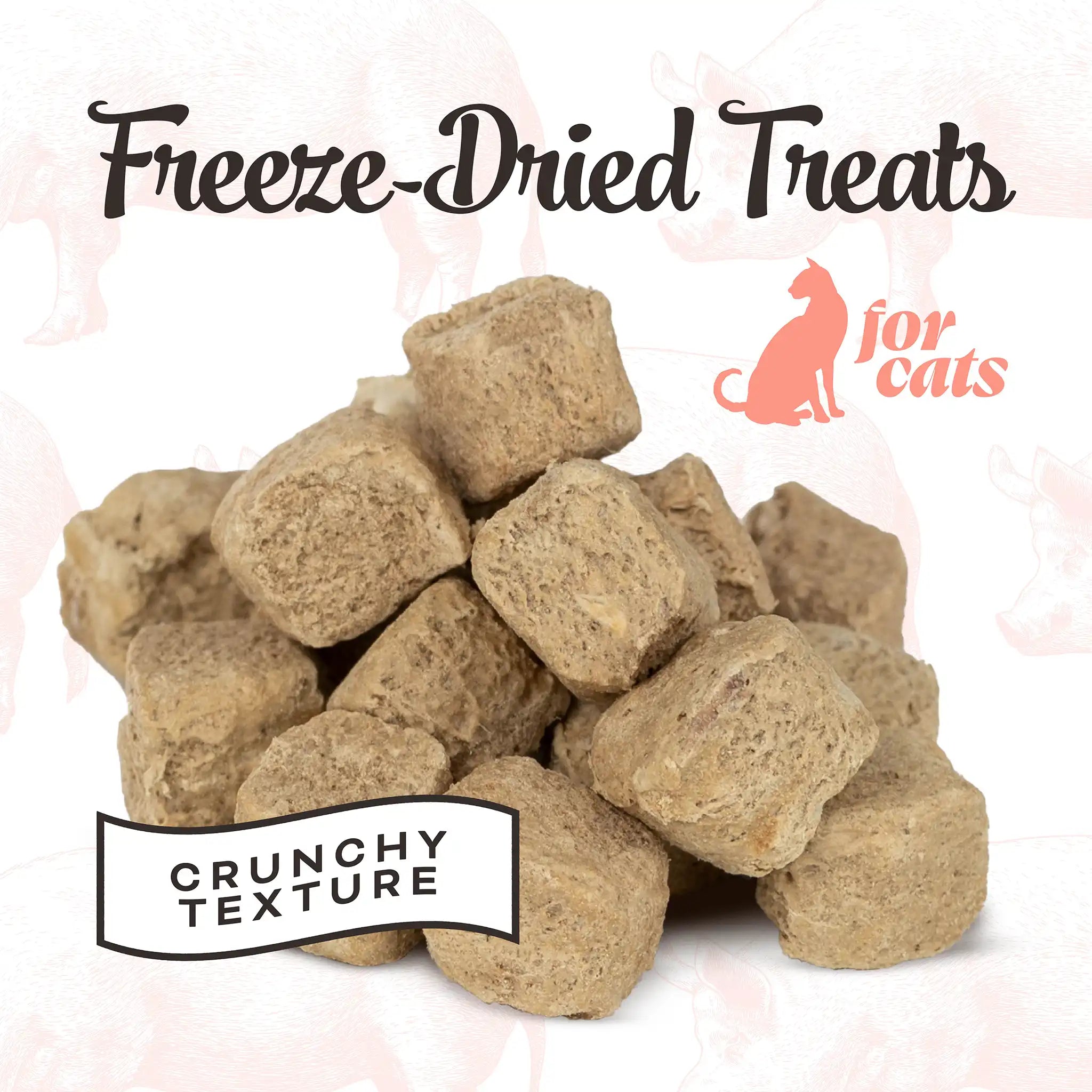 Simple Ingredient Freeze Dried Treats your cat is sure to love