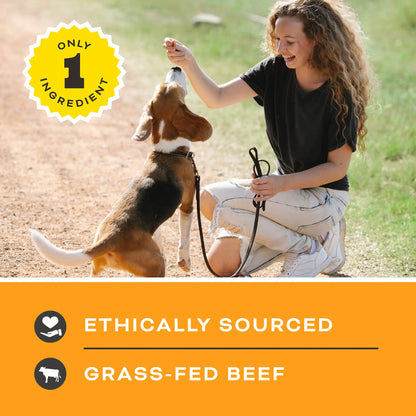 Let’s All Get a Lung Dehydrated Dog Treats <br>Beef Recipe