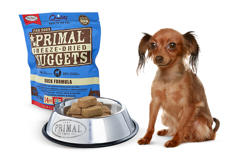 Freeze Dried Nuggets Primal Pet Foods