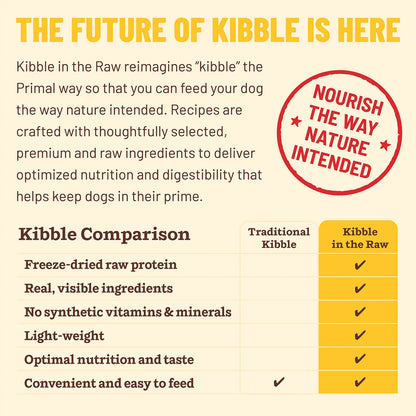 Kibble in the Raw Dog Food <br> Puppy Recipe