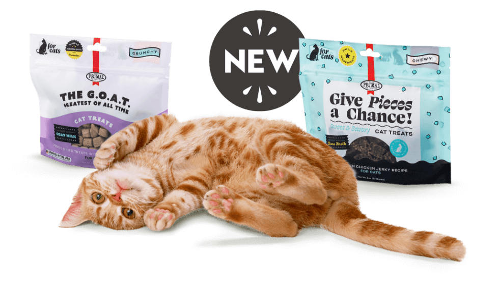 Tabby kitten rolling in front of new Primal Treats, such as Jerky Treats and freeze dried treats with Goat Milk.