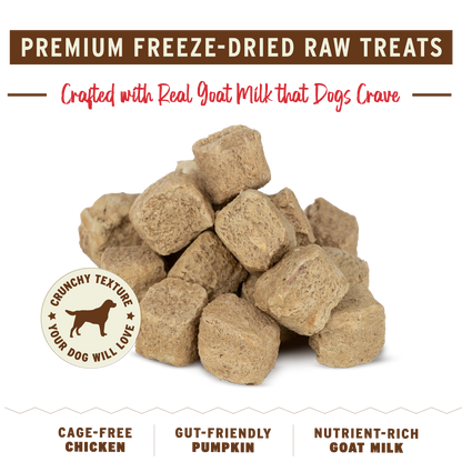 Freeze-Dried Raw Dog Treats - Pumpkin for My Pumpkin