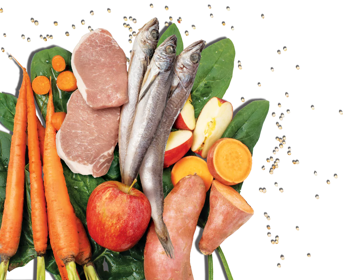 Canine Kibble in the Raw - Fish & Pork | Primal Pet Foods